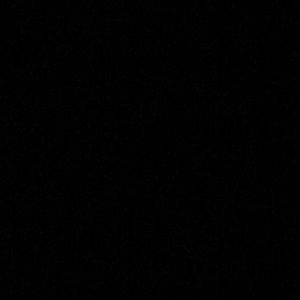 Meet your Posher, Ann